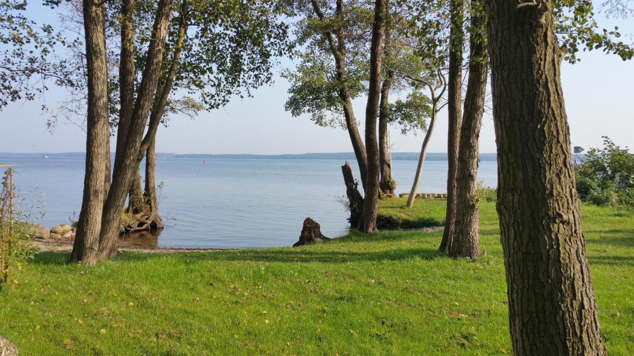 Apartment Plauseelig Mit Bootsliegeplatz Optional Plau am See Exterior foto